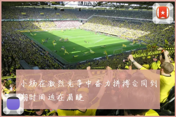 小杨在激烈竞争中奋力拼搏合同到期时间迫在眉睫